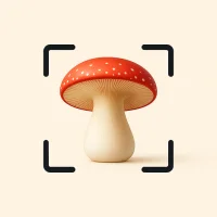 Sienitunnistus: AI Mushroom Id